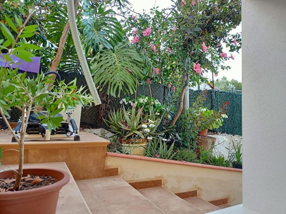 Villa Falconera Apartaments, Gandia A Las Faldas De La Montana 외부 사진